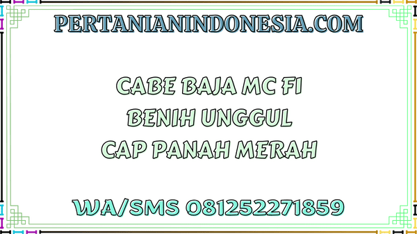 Cabe Baja MC F1 Benih Unggul Cap Panah Merah